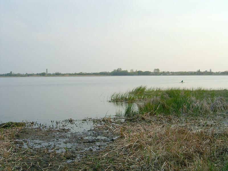 20110427 014.jpg